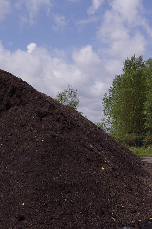 Compost sur les plateformes de compostage