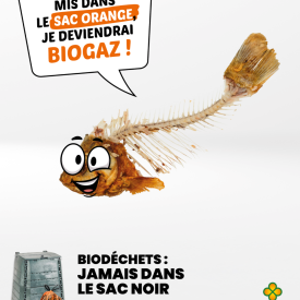 poisson je deviendrai du biogaz
