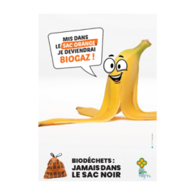 Biodéchets : jamais dans le sac noir